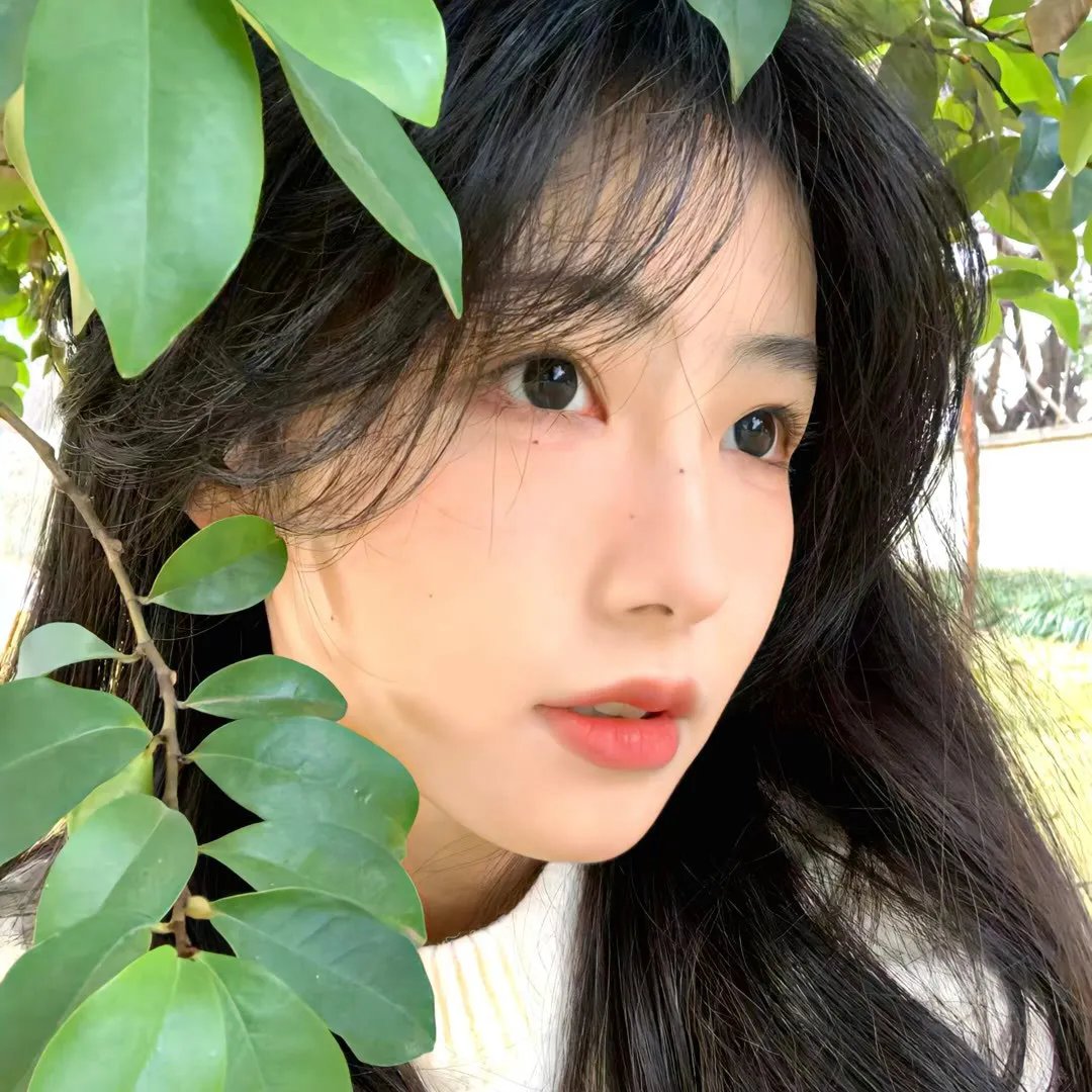 以眼还眼2025